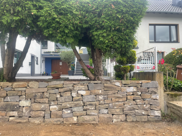 Trockenmauer Trockenmauer aus Grauwacke, 15m lang